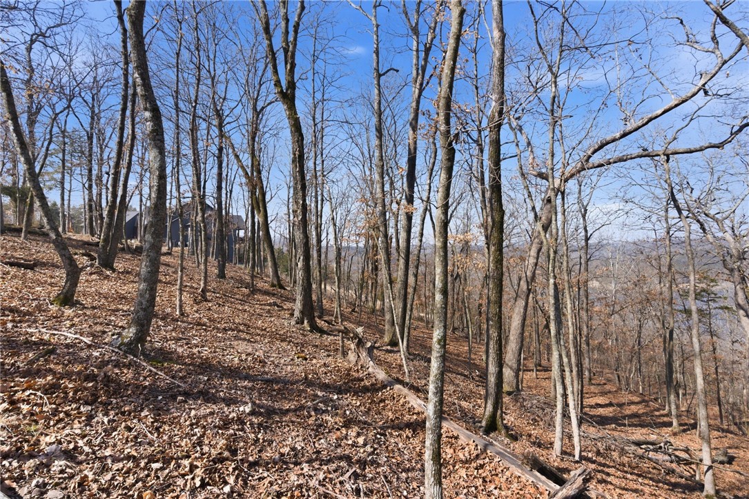 Cedar Acres - Land