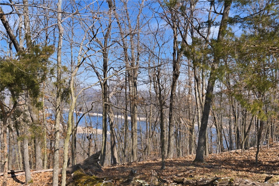 Cedar Acres - Land