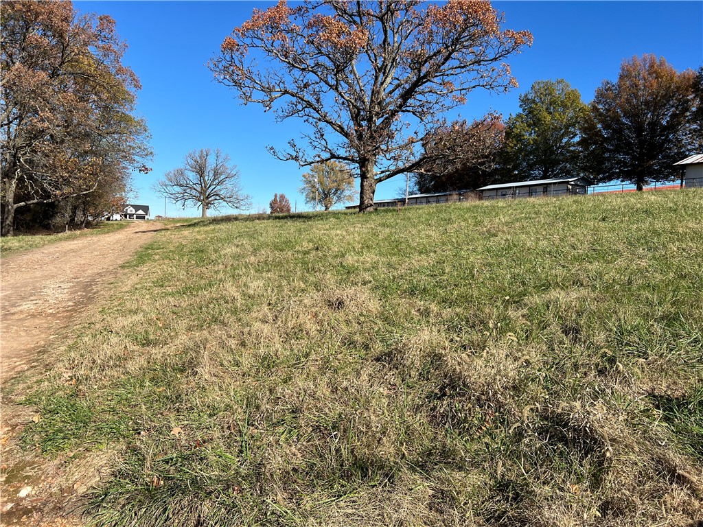 Tontitown Outlots 2000 Annex - Land