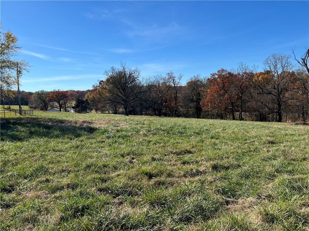 Tontitown Outlots 2000 Annex - Land