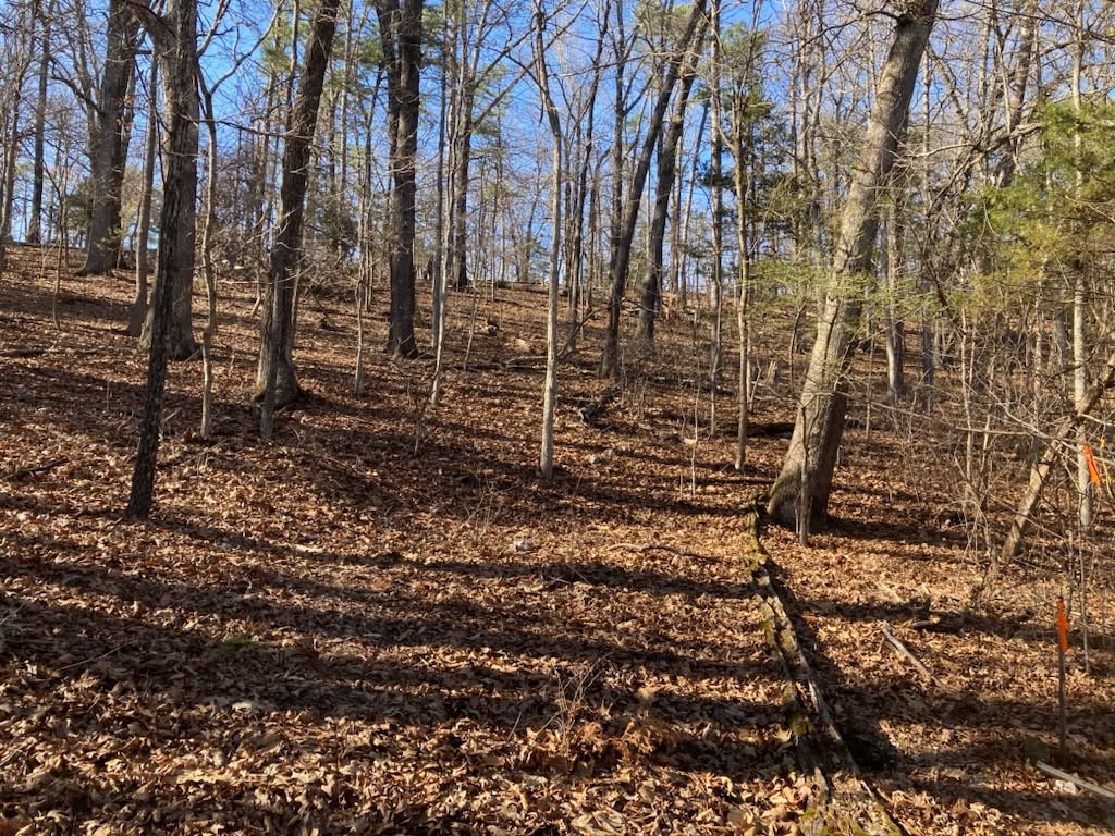 Clayton - Land