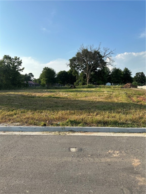 Come home to Mountain View Estates! This lot is located in a subdivision with new homes and great views. This is the prefect lot to build a beautiful home. Agent Owned
