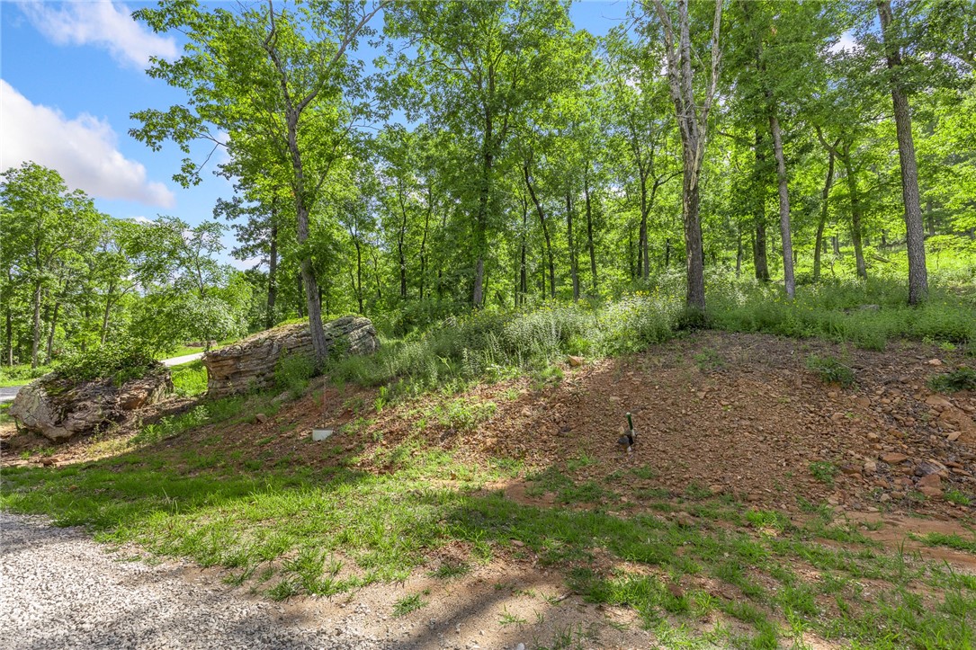 Round Mountain Estates - Land