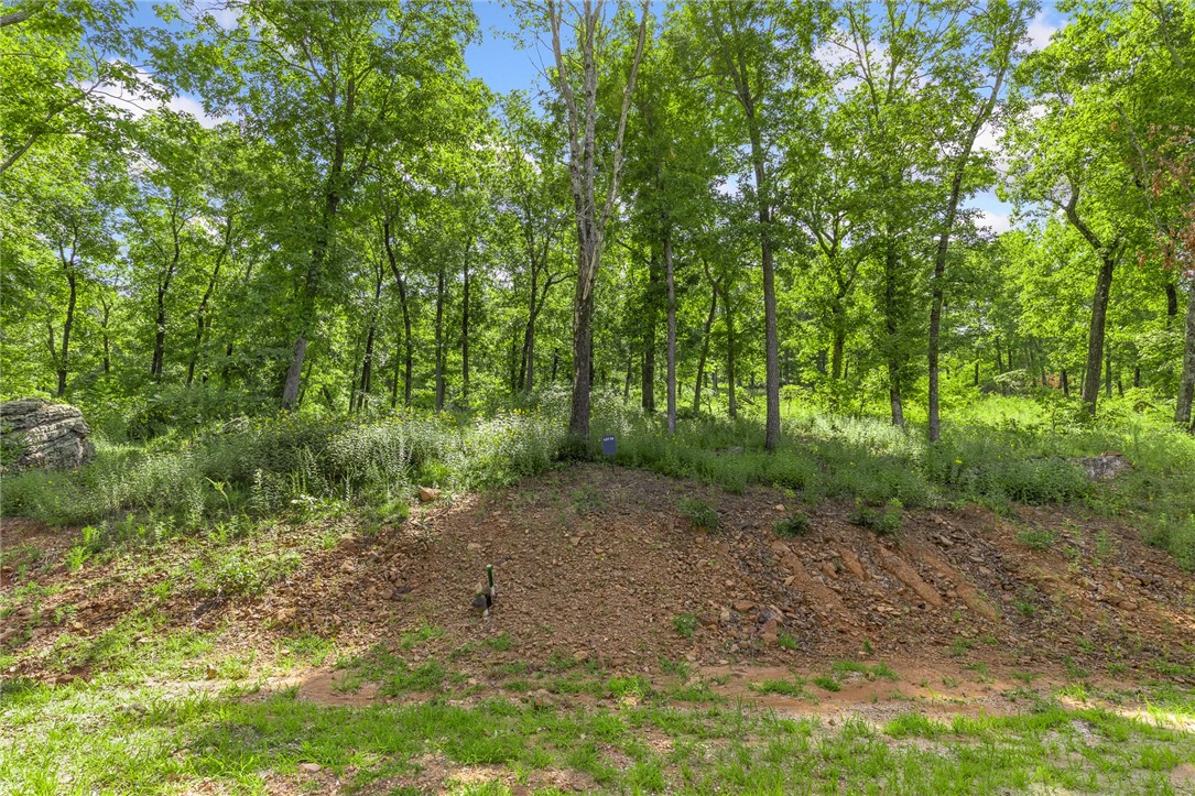Round Mountain Estates - Land