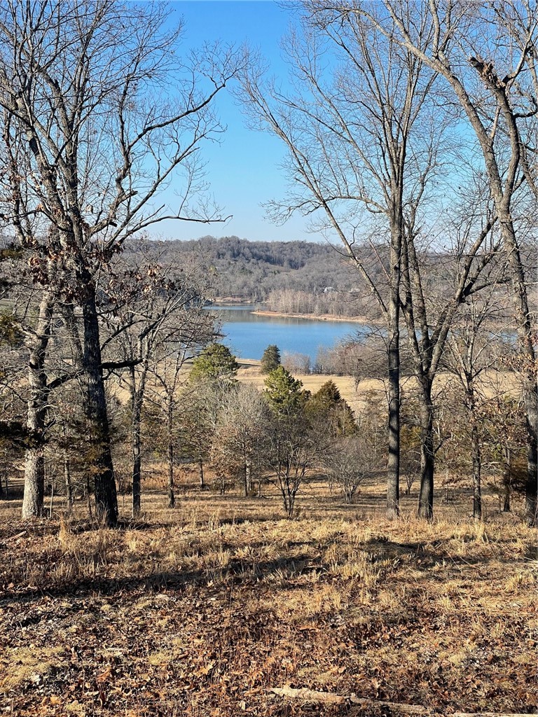 19.39 Acres m/l  Excellent hilltop overlooking the Lake in 3 directions. Hwy 311 frontage and just a short distances to a boat launching ramp. Property joins the Corp of Engineers on next to the Lake on a Bluff. Some open area along with mostly Timber. Green Forest city water is located at the property. Just needs the meter installed to have water. Lots of wildlife on the property and a deer stand located in the timber. If you are looking for a place to build your dream home or a get away Cabin this is it. Located just 30 minutes from Branson, Mo. Must see to appreciate the view. Building spot on top of the hill. (Property owner hasn't been able to obtain an electric easement from neighbors)