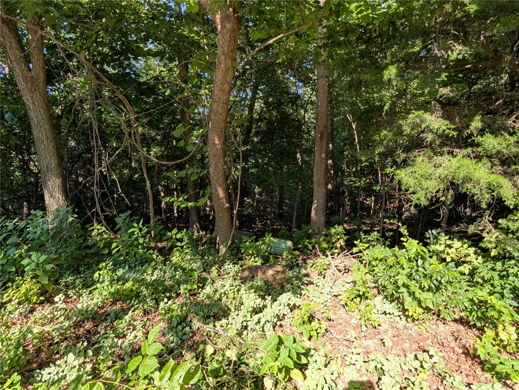 Morganshire Sub BVV - Land