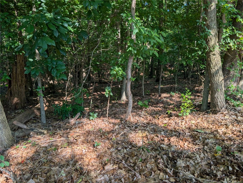Morganshire Sub BVV - Land