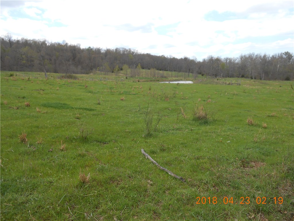 Great building site with excellent views, nice pond with auto drinkers. Mostly pasture surrounded by woods only 3 miles out of Prairie Grove.