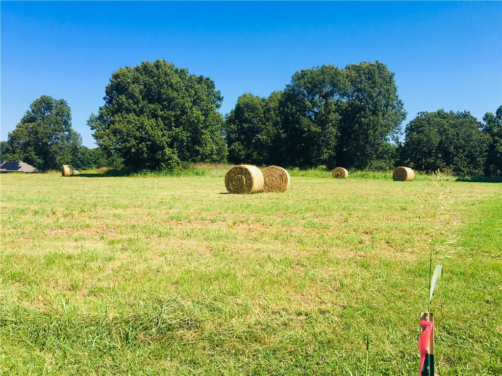 Picturesque 3.89 acres in desirable West Fayetteville!! Land is cleared with level spot for building your dream home, and a scattering of mature trees.  Water is at the street, electric close by, and lot has previously been perked.  Don't miss this opportunity!