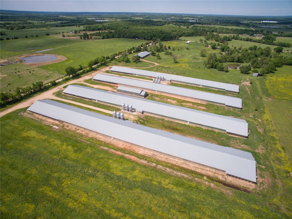 Broilerville - Farm
