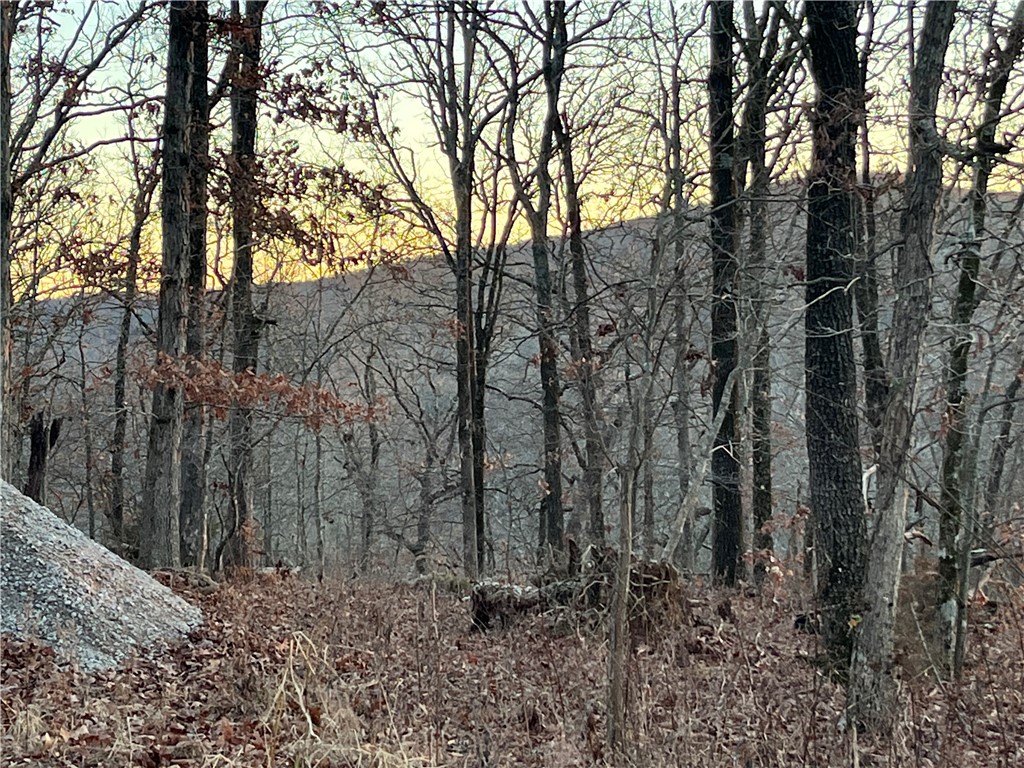 Beautiful 10 acre property with amazing views across the valley.  Build your dream cabin here or a get away  spot.  This lot has panoramic views and a quite location.  Build your dream home here.