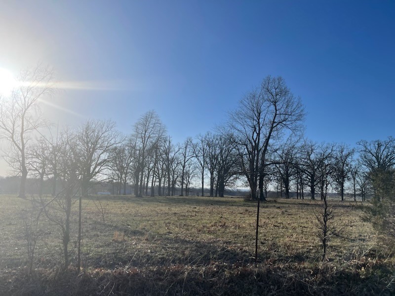 Farmington Outlots - Land
