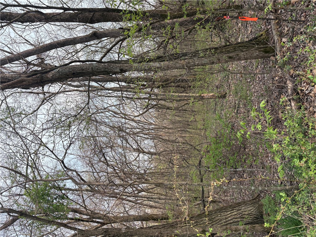 How about almost an acre and a half of buildable land in Posy Mountain Ranch where the air is fresh and the deer roam free?  Come and build your dream home in the country, away from the bustle of the big city.