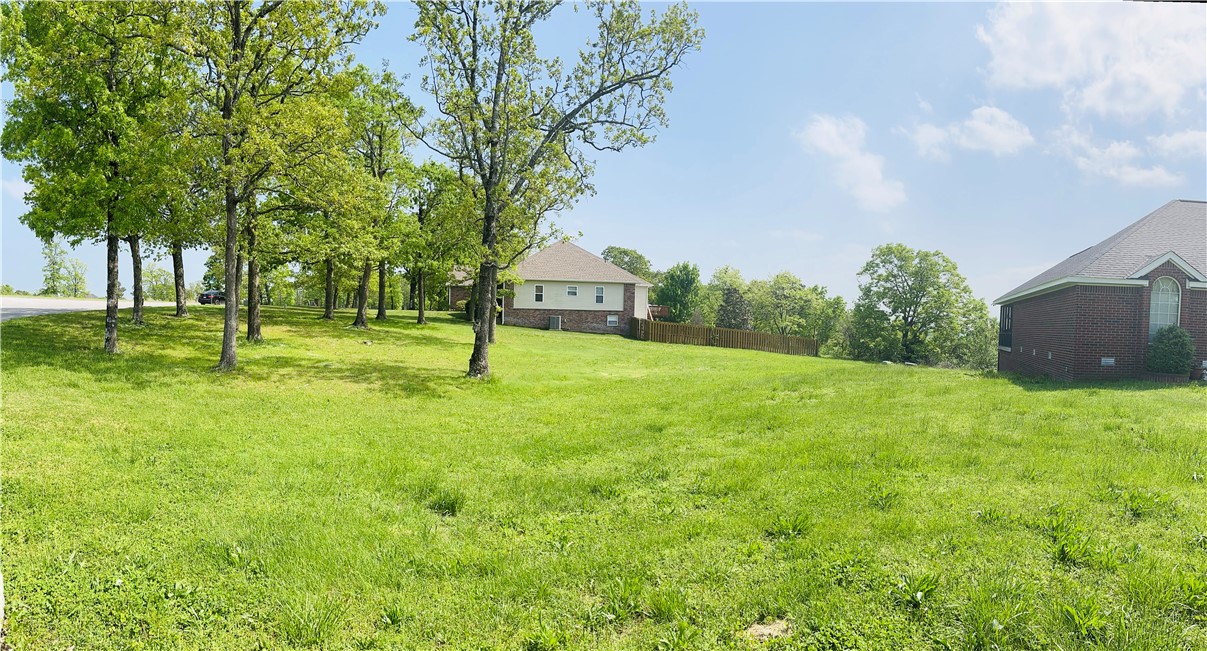 A nice level lot with huge mature trees on the beautiful West Bluff Lane.  Great view from the back of the lot.  Ready to build your dream home.