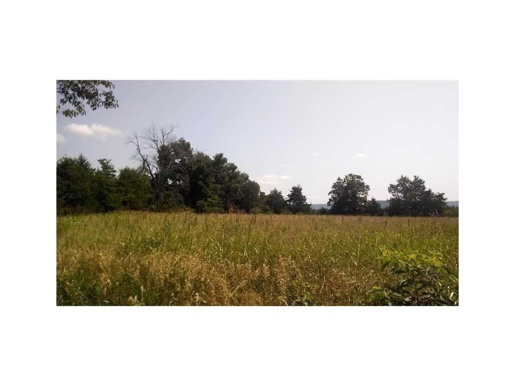 Great Place to build that forever home- Seated just outside city limits, on a pave road and electric at the street, Level land offers 3.02 acres with light restrictions. Live stock is allowed, NO MOBILES