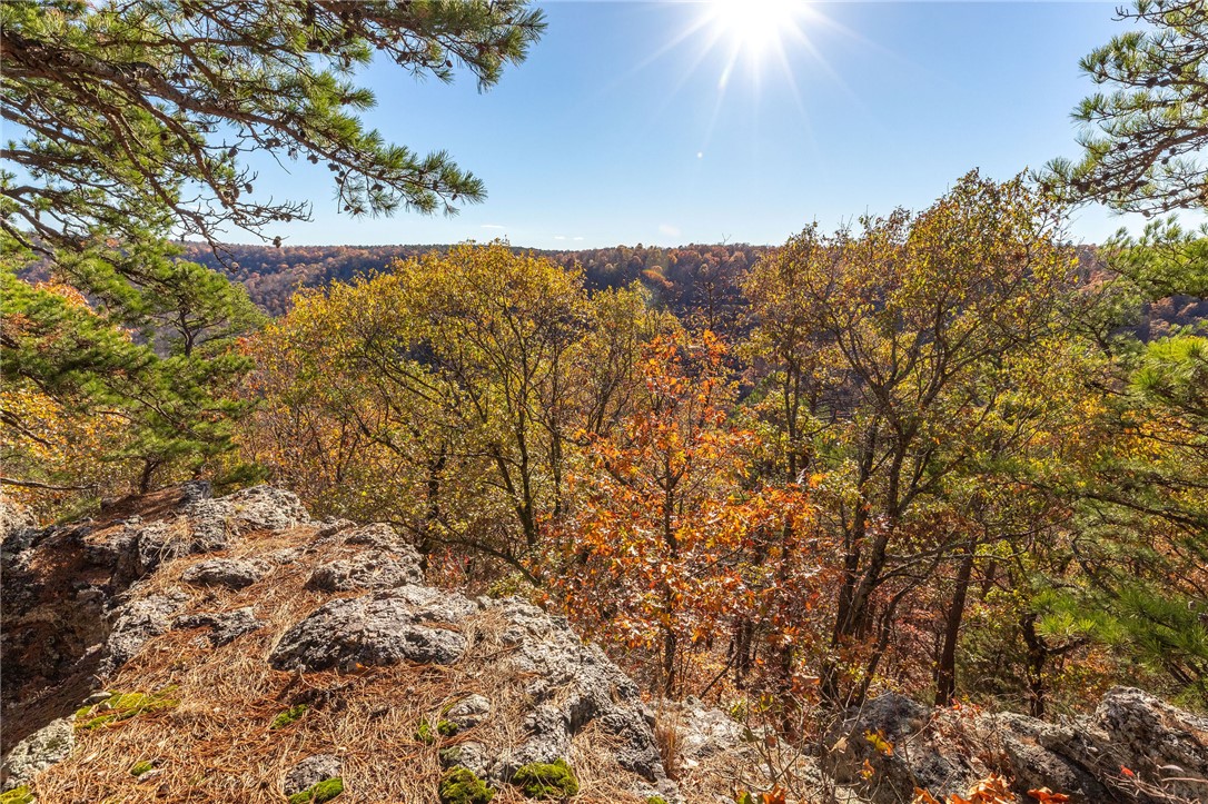 60 +/- Acres of Ozarks Land with huge Mountain-Top Views, Springs, Large Cave, Cabin, and Barn. 
Secure a beautiful piece of quiet Arkansas Woods and Pasture on Pension Mountain. This private property is ideal for anyone looking for open space, unique natural features, and a peaceful location. 
The standout feature is an 8-Room Cave System with 1/4 Mile of Underground Chambers and a large 80-Foot Bluff Overhang. 
The land also includes 3 Natural Springs flowing through beautiful Rock Formations, Mature Timber, Fenced Pasture, and Walking/Biking Trails.
A simple 1-Bedroom, 1-Bathroom Cabin sits on the property and would be great as a quiet retreat or hunting cabin, along with a functional Barn that has Water and Electric. 
If you are looking for a larger footprint: 2 additional Homes on adjacent Acreage can be combined with this property.
You will enjoy privacy with The Nature Conservancy bordering the land.
Trigger Gap & Kings River Outfitters are minutes away providing easy floating and fishing.