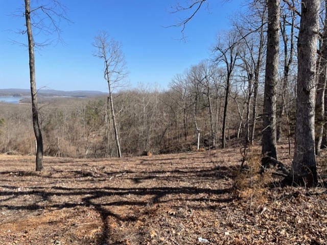 Island View Estates- RURBAN - Land