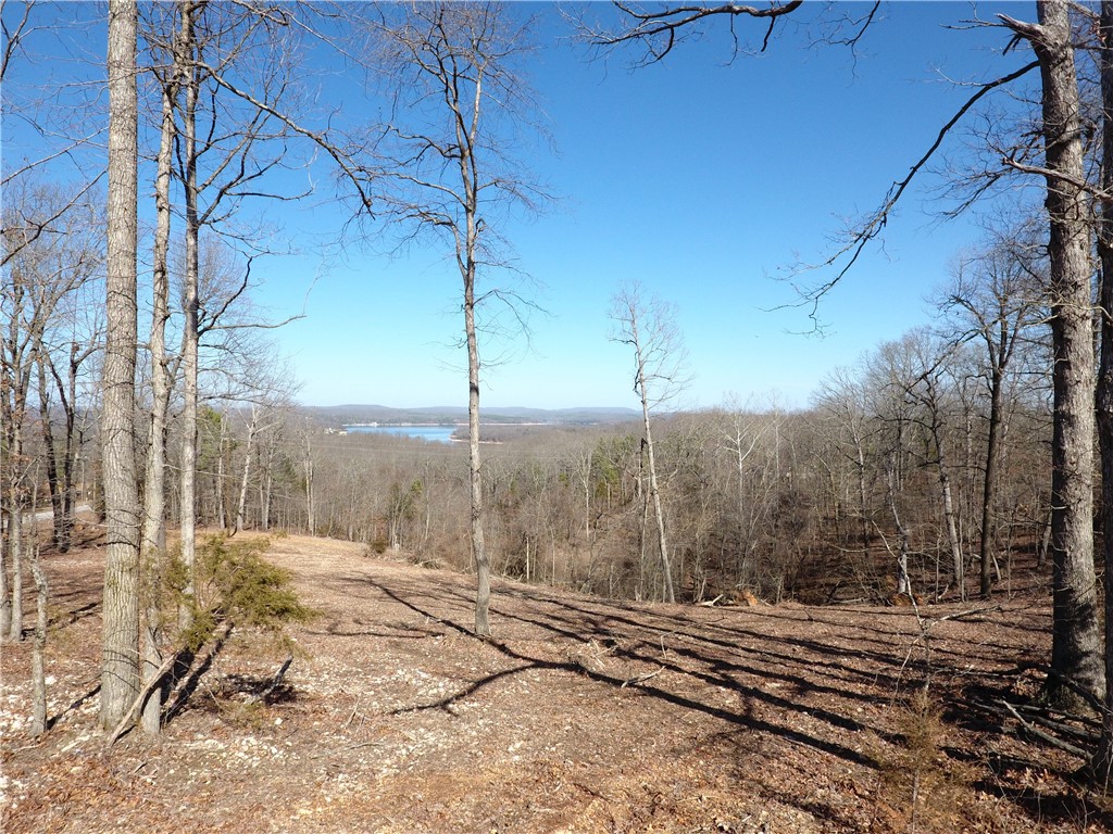 Island View Estates- RURBAN - Land
