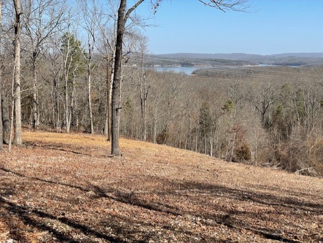 Island View Estates- RURBAN - Land