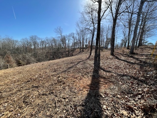 Island View Estates- RURBAN - Land