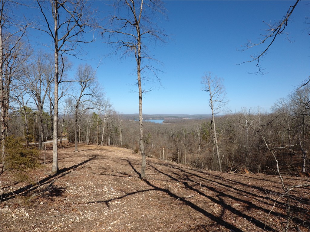 Island View Estates- RURBAN - Land