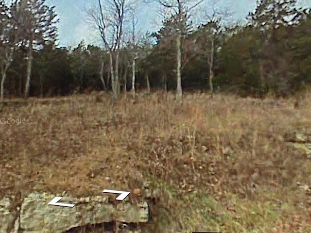 Unit 115 Holiday Island - Land