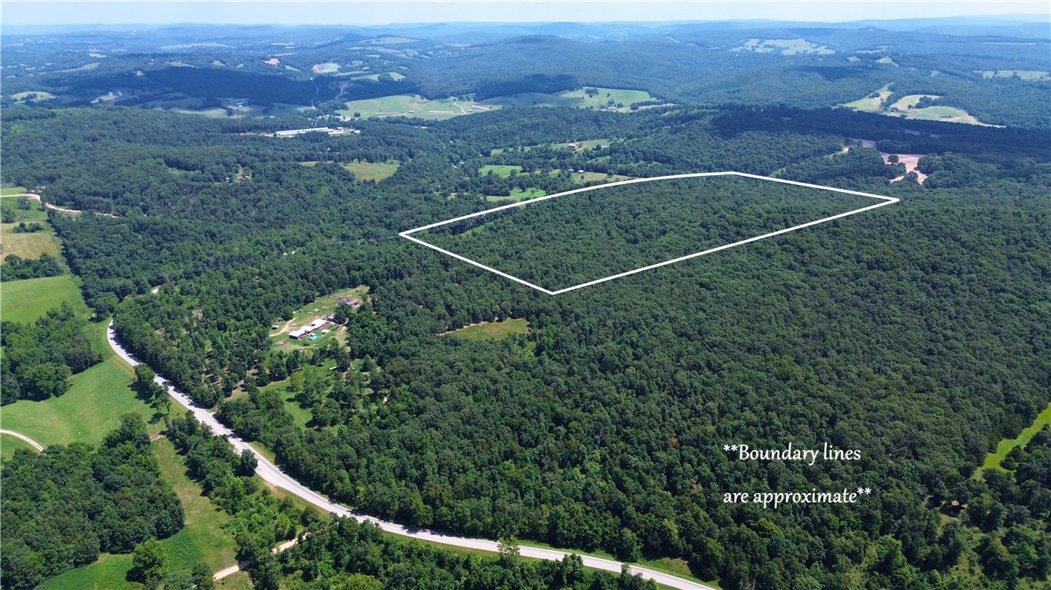 78 acres +/- tucked away near Hwy 412 and Hwy 21 intersection. Just minutes from the Kings River, this convenient location is easily accessed from Fayetteville/Springdale, Berryville, Harrison and Branson, MO. Private, wooded acreage with a pond, good trail system and lots of wildlife. With multiple clearings and lanes, this would be a perfect hunting tract. Electric is close by with plenty of flat building locations across the property. Quiet, peaceful setting for those that love being surrounded by nature. Additional acreage and existing home also available. Survey and easement will need to be completed prior to closing.