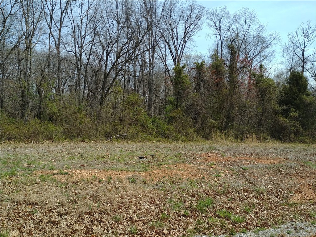 Timber Ridge Estates Sub Rurban - Land