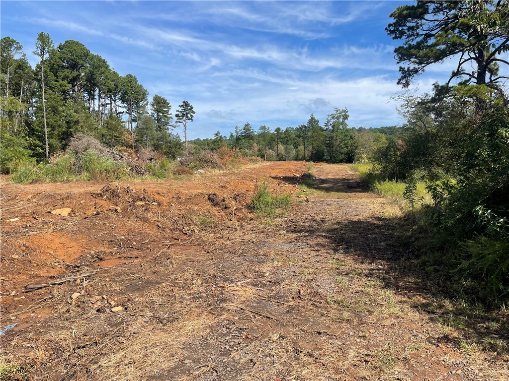 Looking for land with options? This 1.57-acre lot is cleared and ready for your vision! Located close to elementary schools and junior high school, walking trails, and outdoor recreation—including nearby fishing spots—this property is in a prime area with strong investment potential. Just minutes from the nuclear plant, it’s ideal for future development, rental opportunities, or building your dream home.