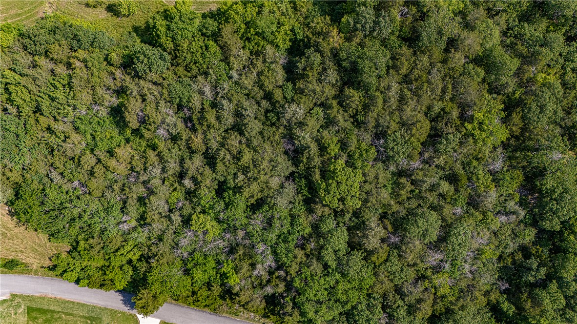 West Fork Outlots - Land