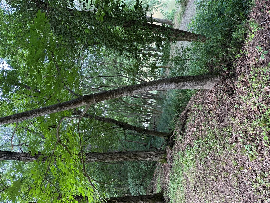 rural - Land