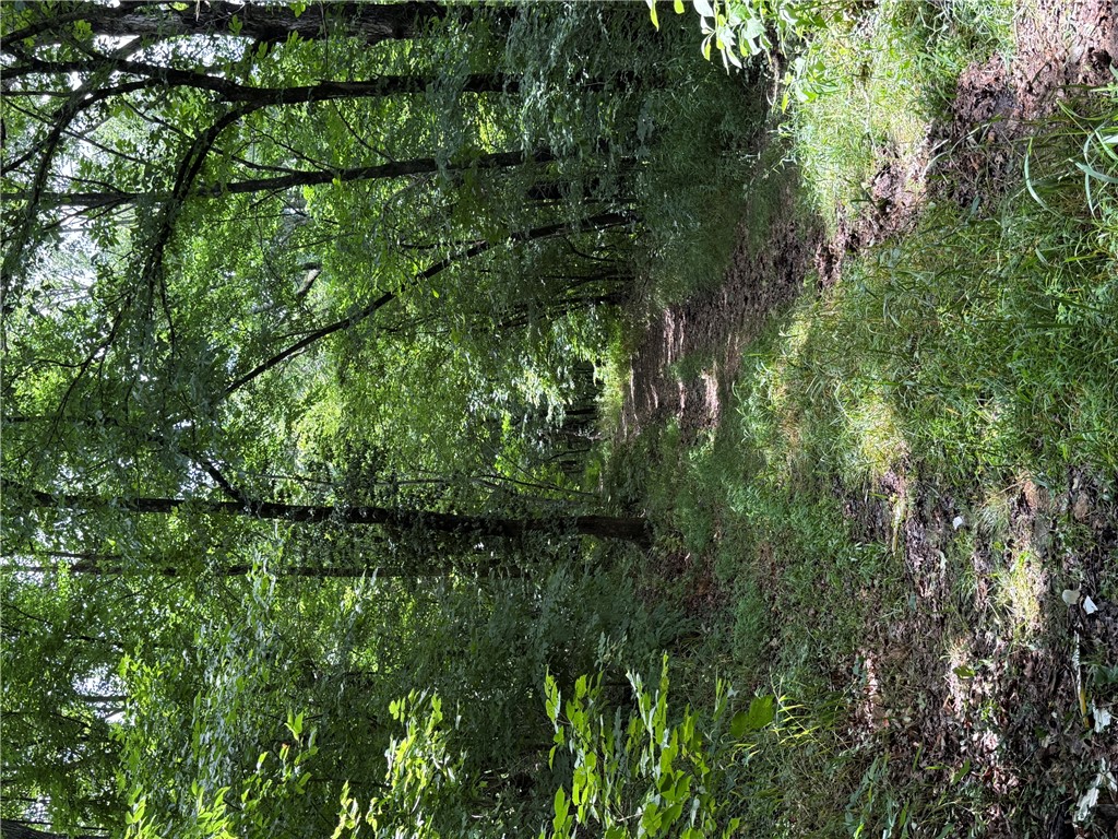 rural - Land