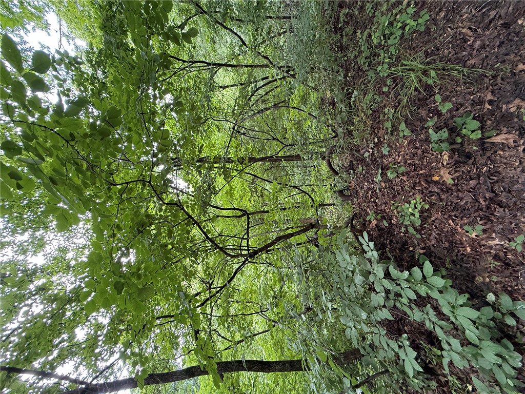 rural - Land