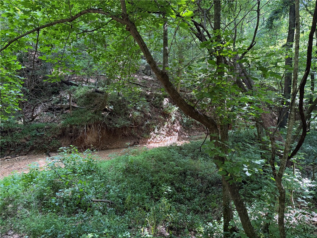 rural - Land
