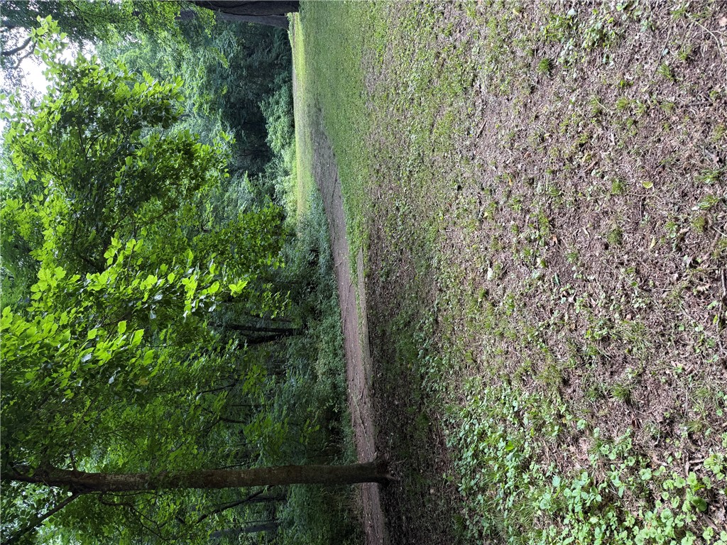 rural - Land