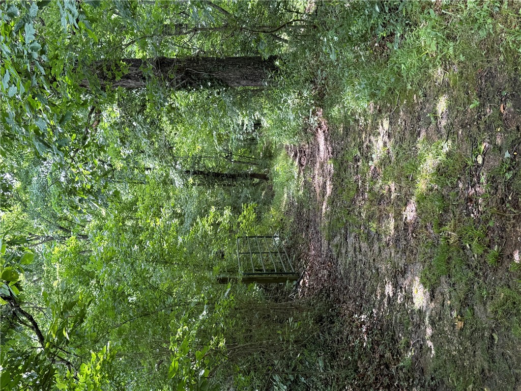 rural - Land