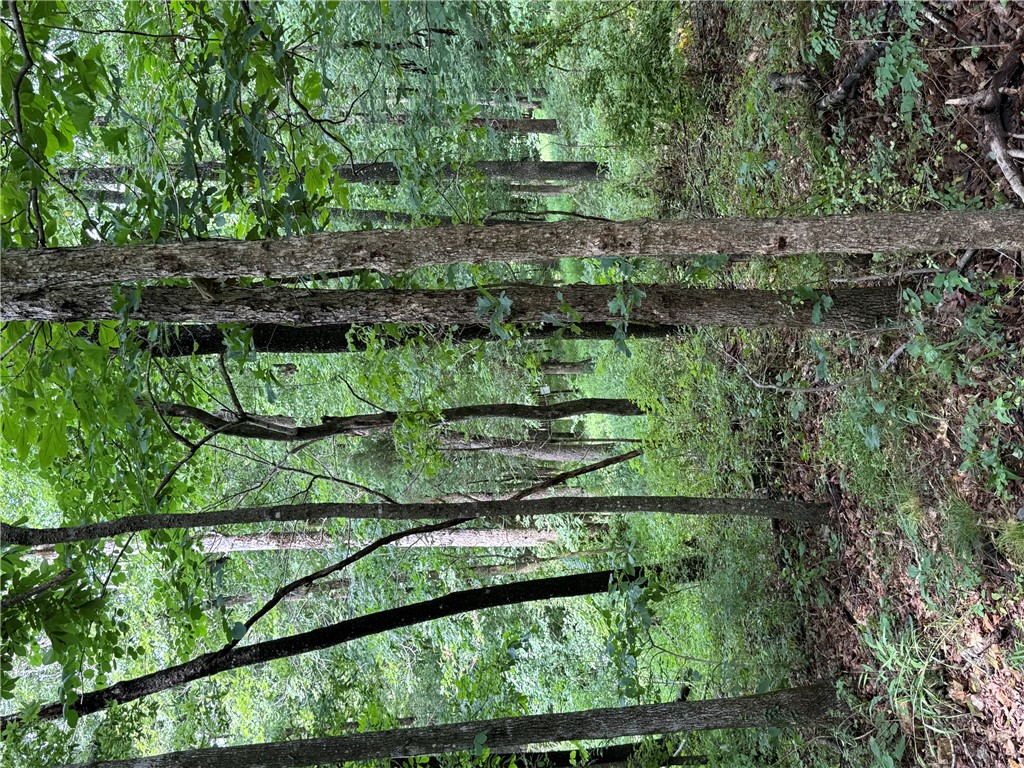 rural - Land