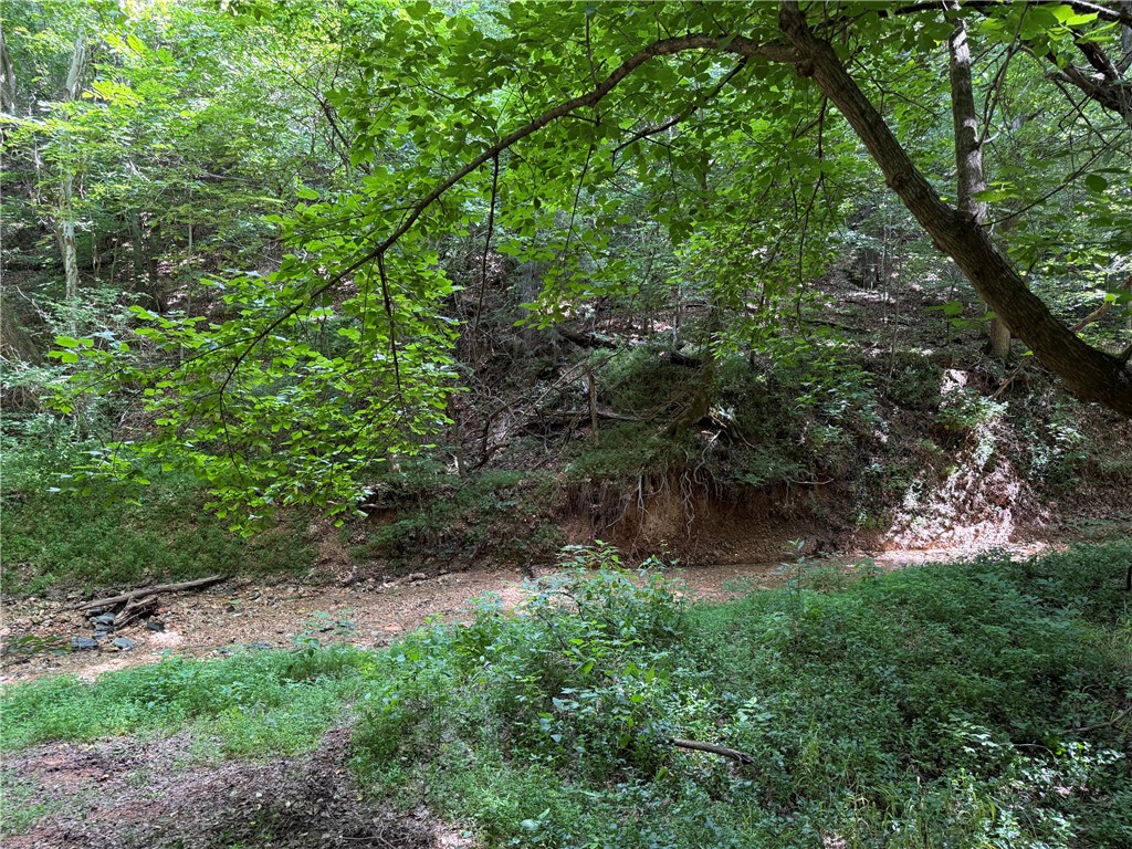 rural - Land
