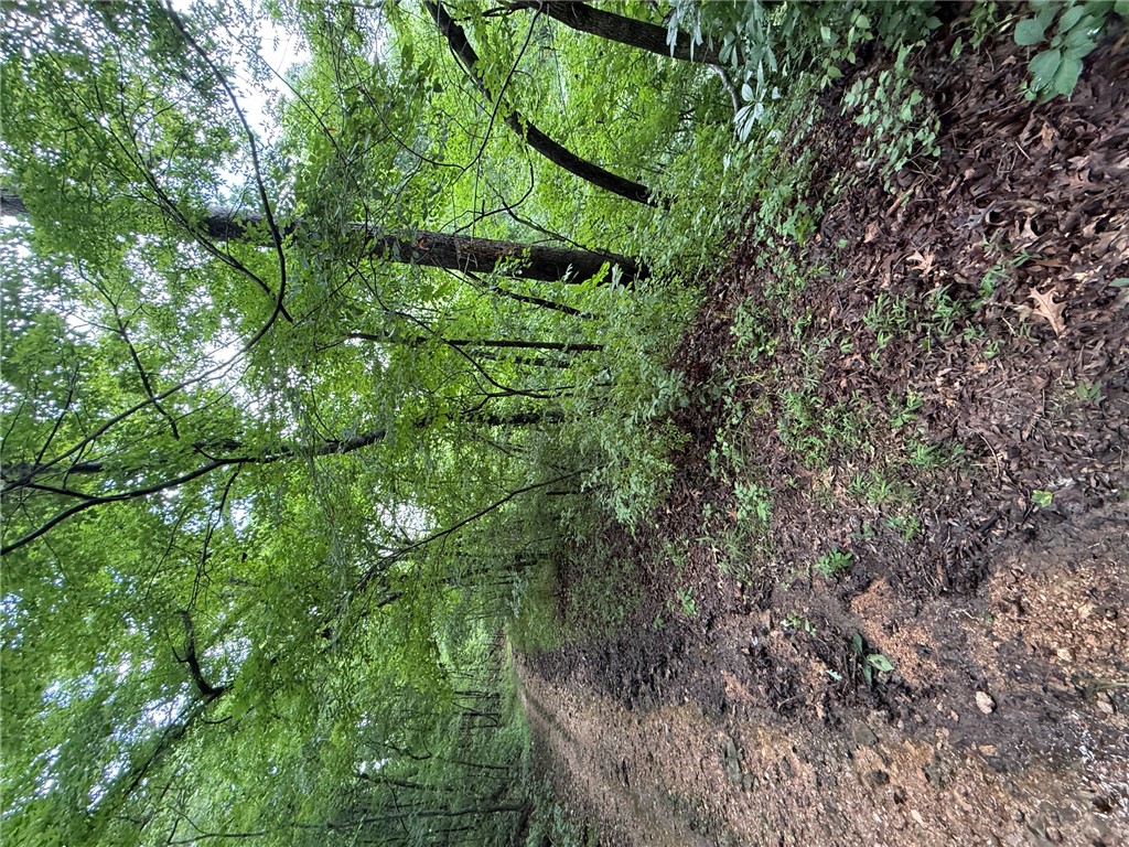 rural - Land