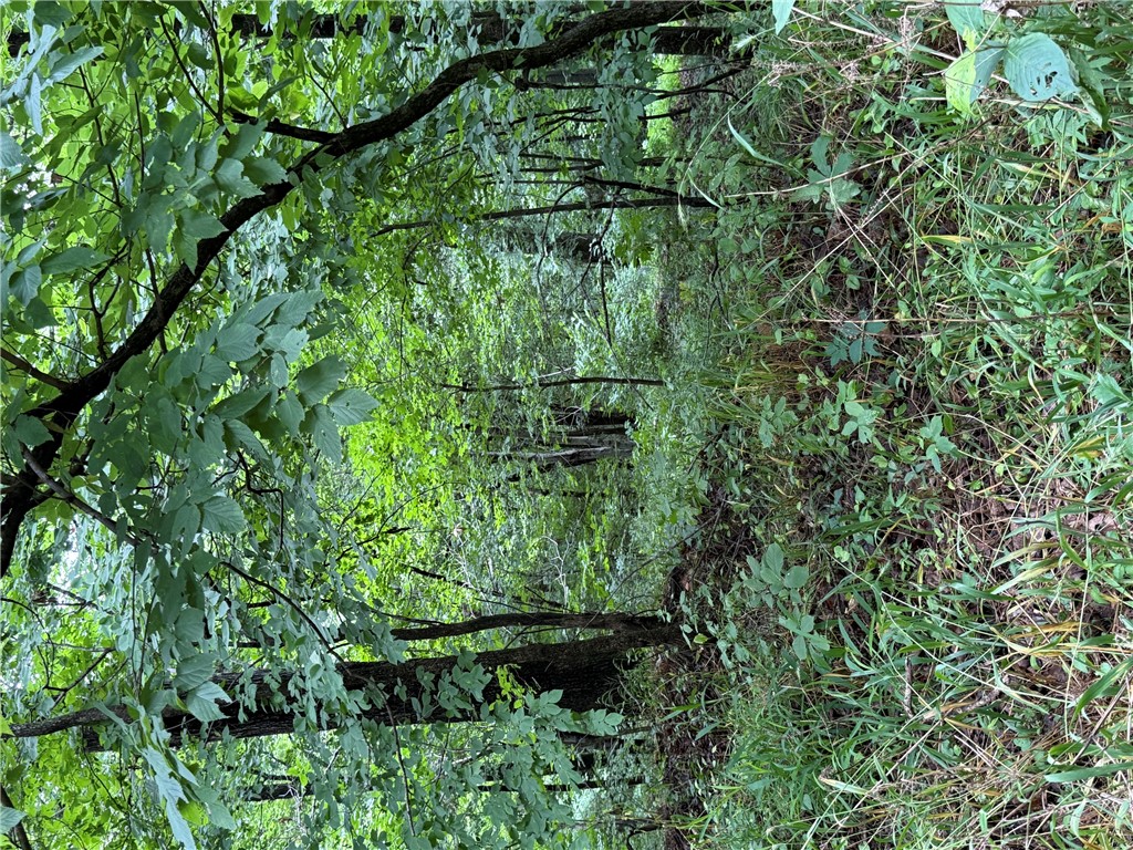 rural - Land