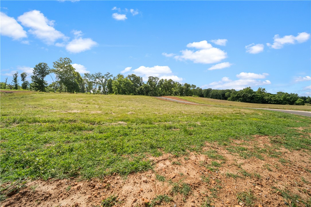 Healing Springs Phase 2 - Land