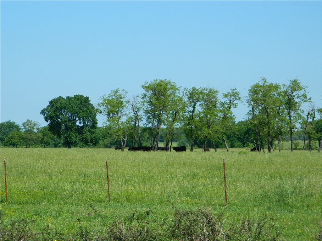 rural - Land
