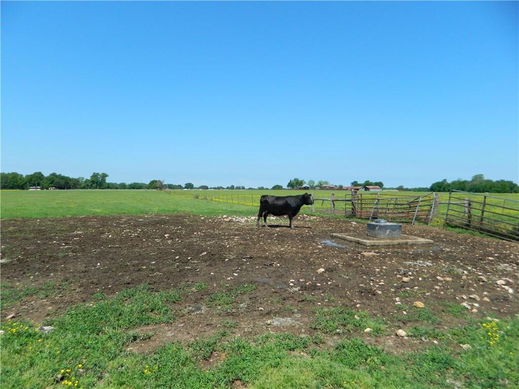 rural - Land