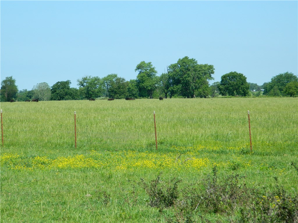 rural - Land