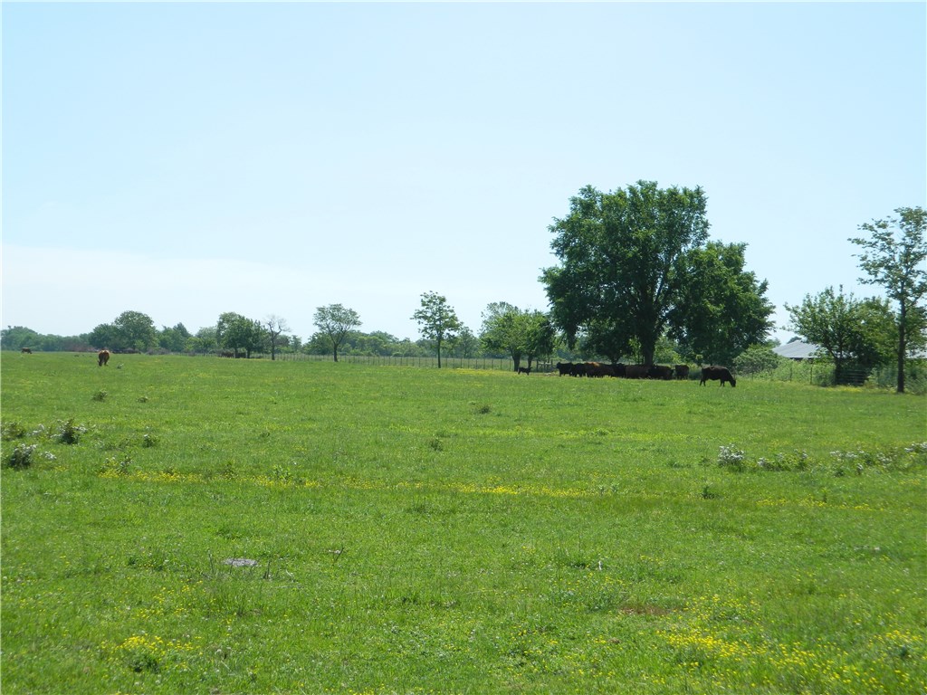 rural - Land
