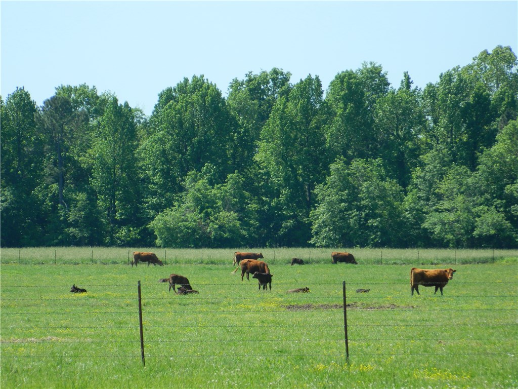 rural - Land