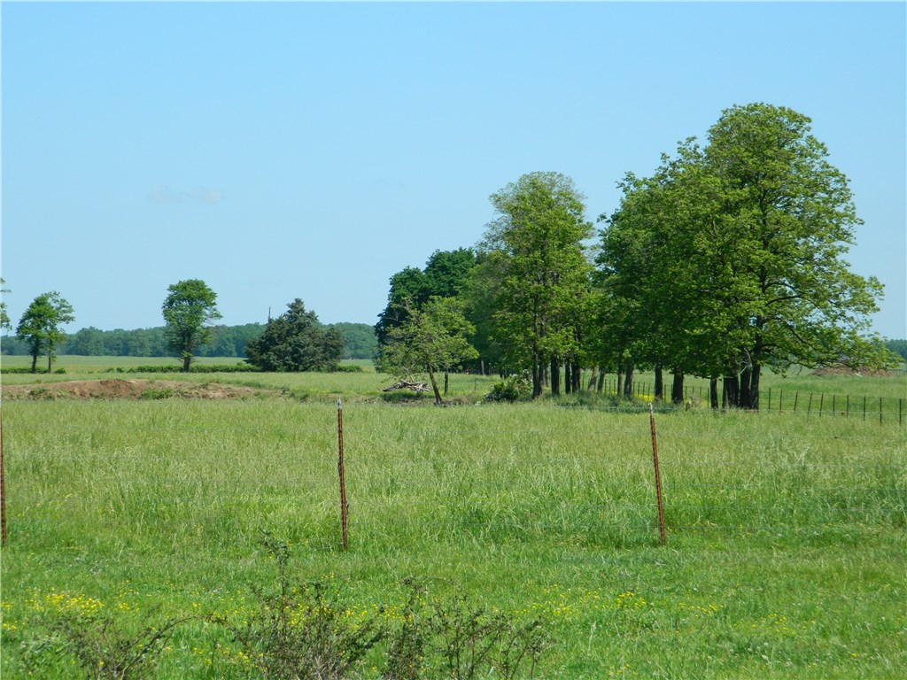 rural - Land