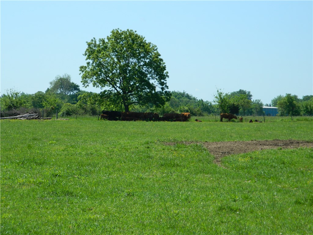 rural - Land