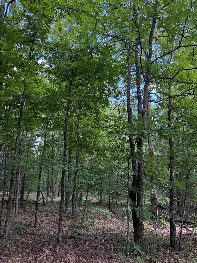 Escape to your own private outdoor paradise nestled in the heart of the Ozarks! This beautiful wooded tract offers endless recreational opportunities and is perfect for hunting, exploring, ATV riding, camping, or creating your own secluded cabin retreat. Featuring rolling terrain, mature timber, and abundant wildlife habitat, the property attracts deer, turkey, and other native game, making it a dream for outdoor enthusiasts. Enjoy the privacy, natural beauty, and adventure this land has to offer while investing in your own piece of the Ozarks. Whether you're looking for a hunting retreat, weekend getaway, or recreational investment, this property is full of potential.