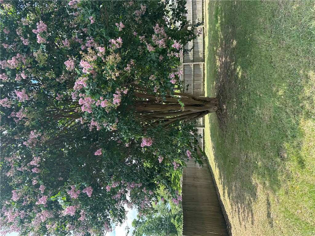 Mountain View PH 1 - Residential